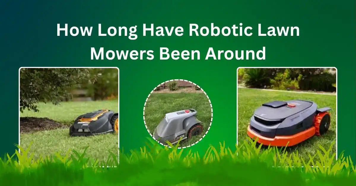 Robotic lawn mower on a backyard lawn – history and evolution of robotic mowers explained