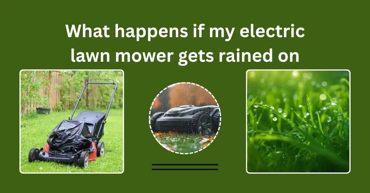 Electric lawn mower exposed to rain – safety risks, damage prevention, and proper care tips