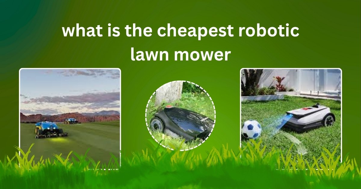 Budget-friendly robotic lawn mower cutting grass in a small backyard – affordable option for homeowners