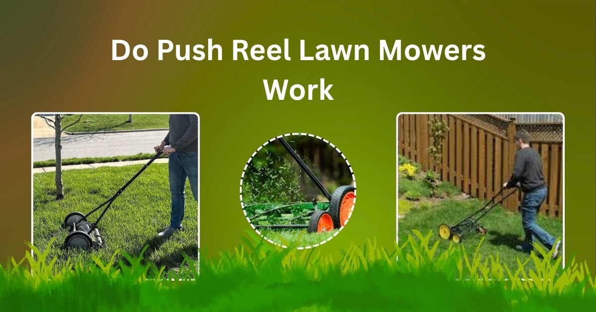 Man mowing small lawn with a manual push reel lawn mower – testing how well it works