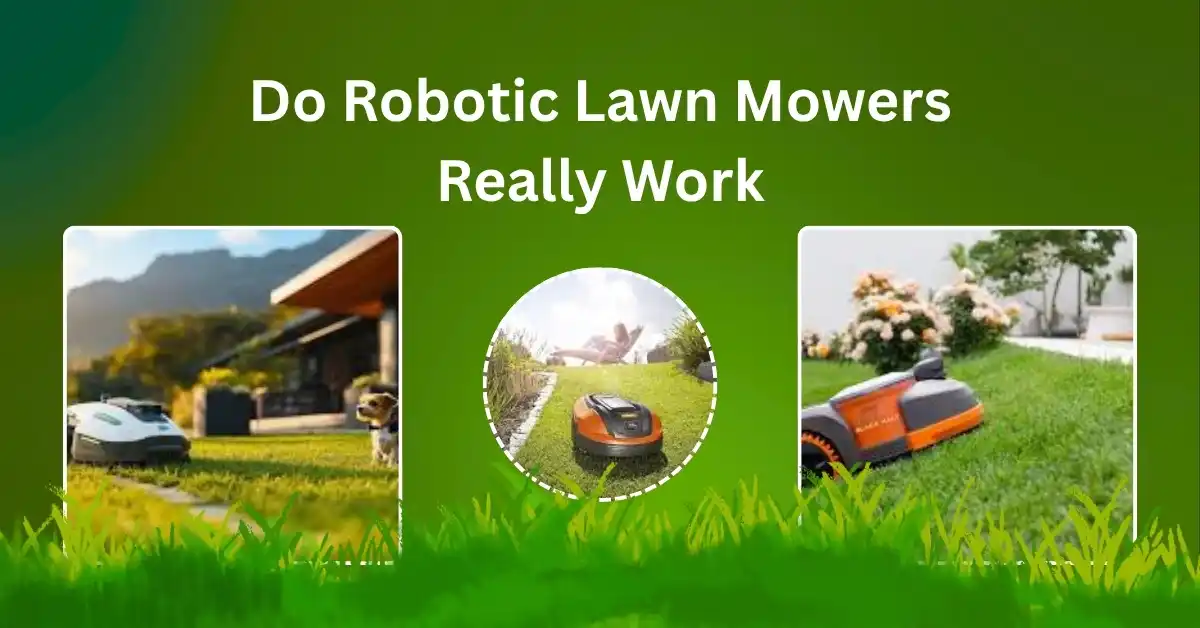 Robotic lawn mower in action on a backyard lawn – honest review of performance, ease of use, and efficiency