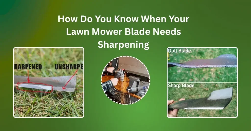 Signs your lawn mower blade needs sharpening – dull blade cutting uneven grass on a green lawn