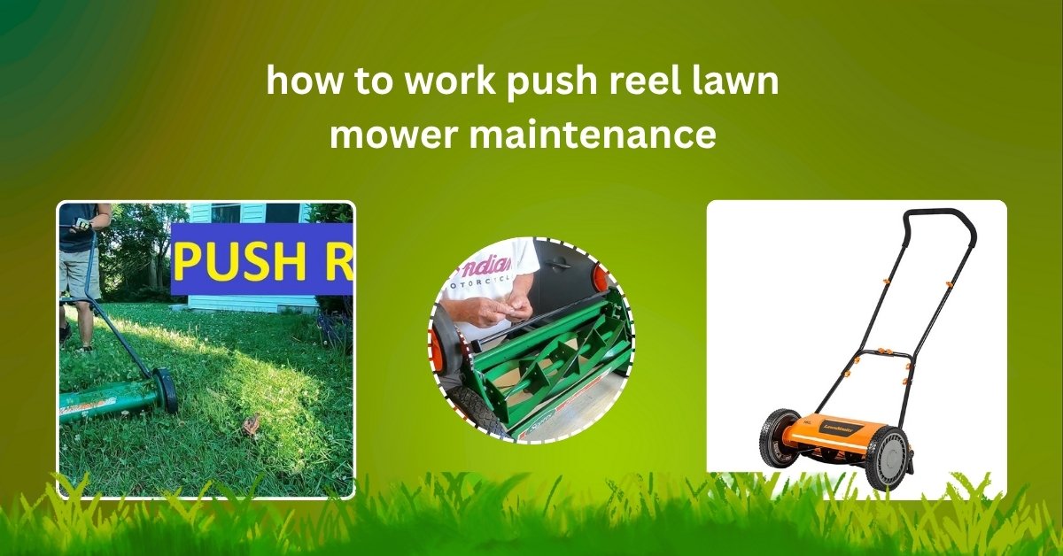 Person performing maintenance on a push reel lawn mower – cleaning blades and adjusting alignment