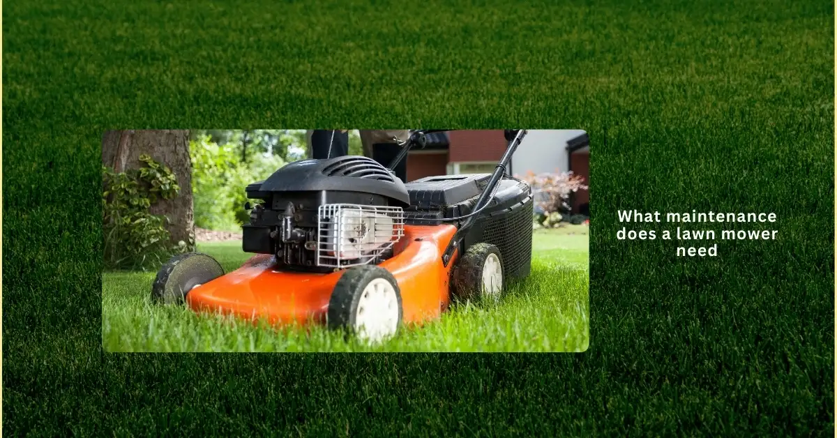 Essential lawn mower maintenance tips including blade sharpening, oil change, and cleaning for optimal performance